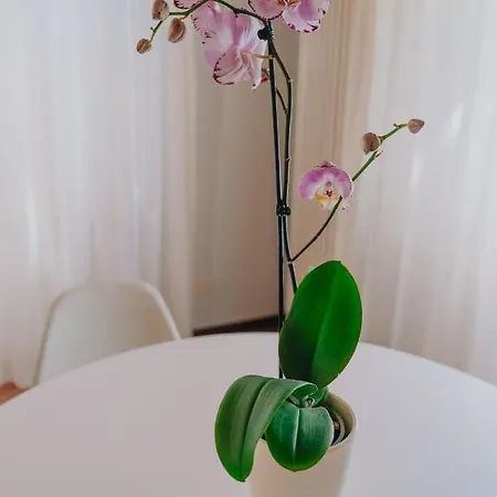 Del Feudo & Restaurant Oda ve Kahvaltı 4*